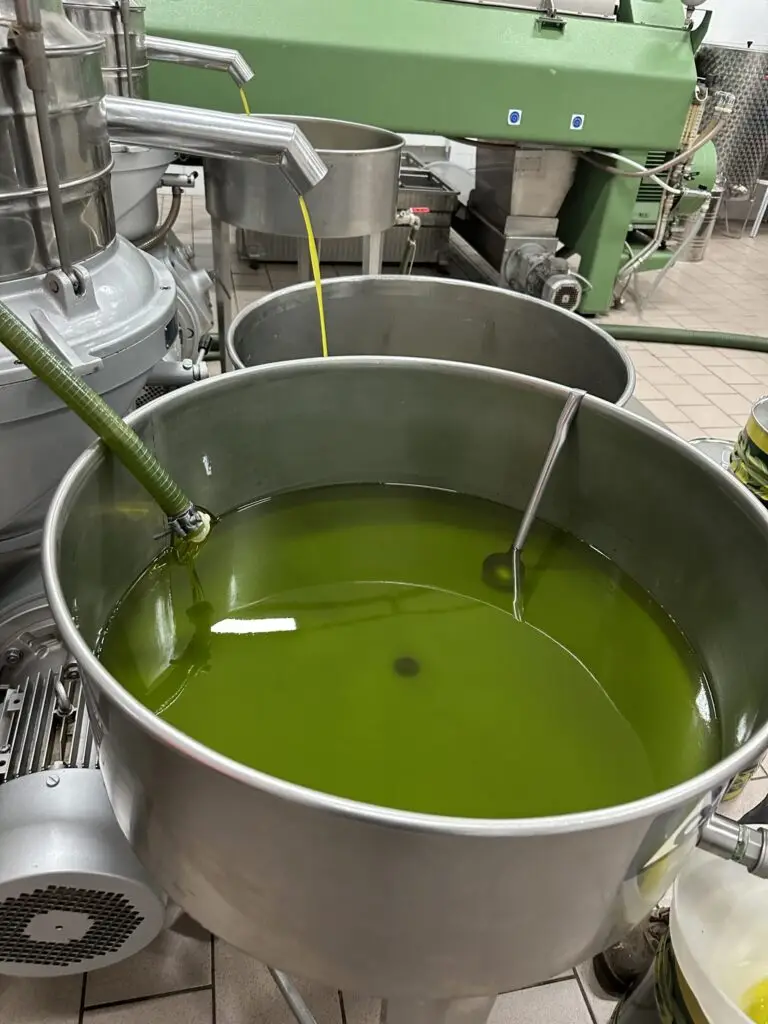 filtering our extra vierge olive oil