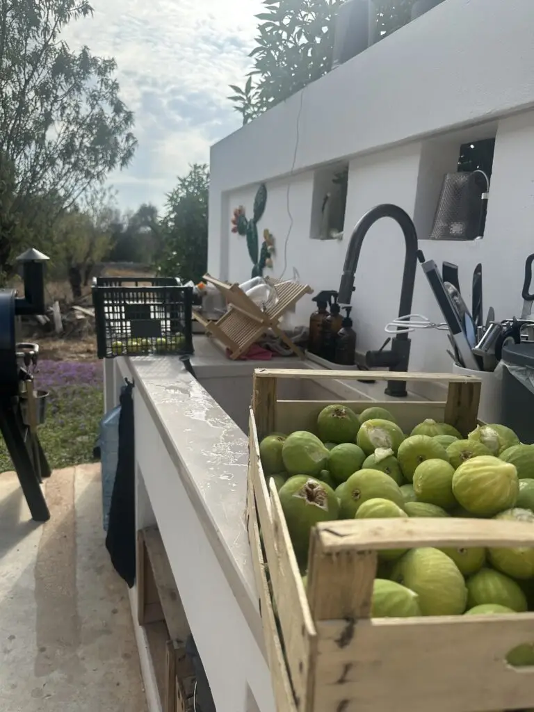 our harvest of figs